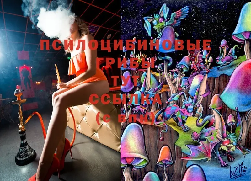 Псилоцибиновые грибы Cubensis  Новотроицк 